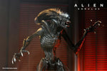 *FÖRBOKNING* Alien Romulus Ultimate - Scorched Alien Xenomorph