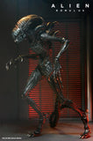 *FÖRBOKNING* Alien Romulus Ultimate - Scorched Alien Xenomorph