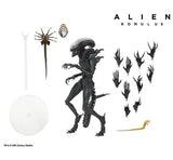 *FÖRBOKNING* Alien Romulus Ultimate - Scorched Alien Xenomorph