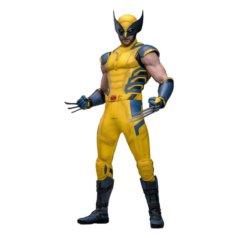 *FÖRBOKNING* Marvel Hot Toys - Wolverine (Deadpool & Wolverine) MMS 1/6