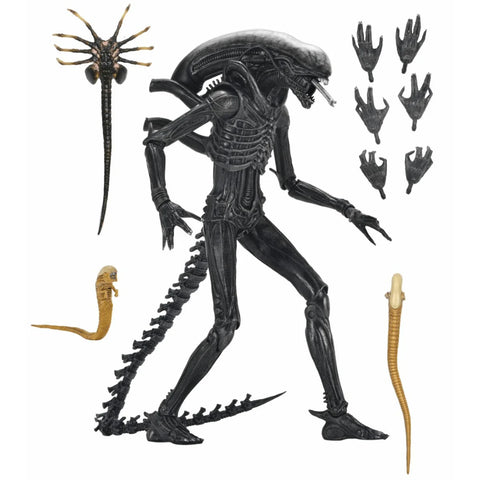 *FÖRBOKNING* Alien Romulus Ultimate - Ultimate Xenomorph XX121