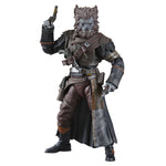 *FÖRBOKNING* Star Wars Black Series - Pirate Captain Brutus (Port Borgo) (Skeleton Crew)