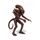 Aliens ReAction -  Alien Warrior (Dusk Brown)