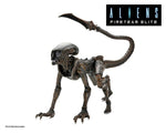 Aliens Fireteam Elite - Runner Alien